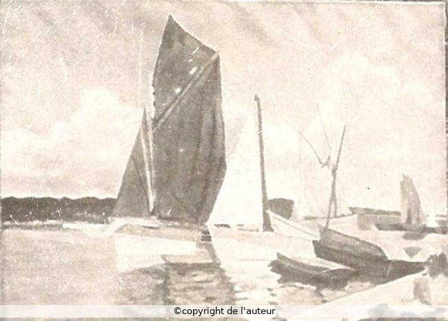 image3