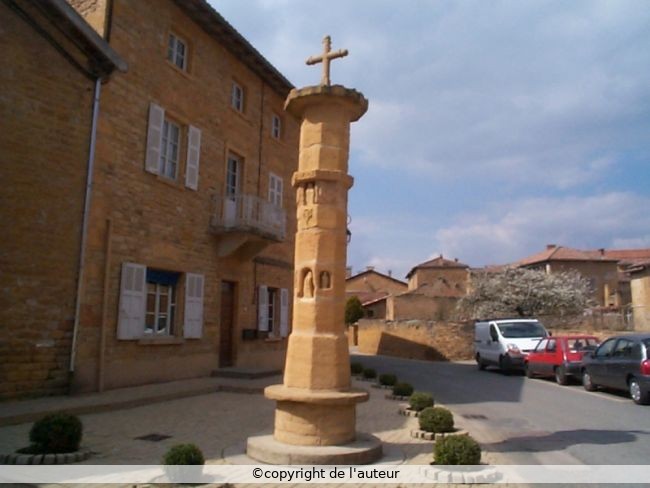 image6